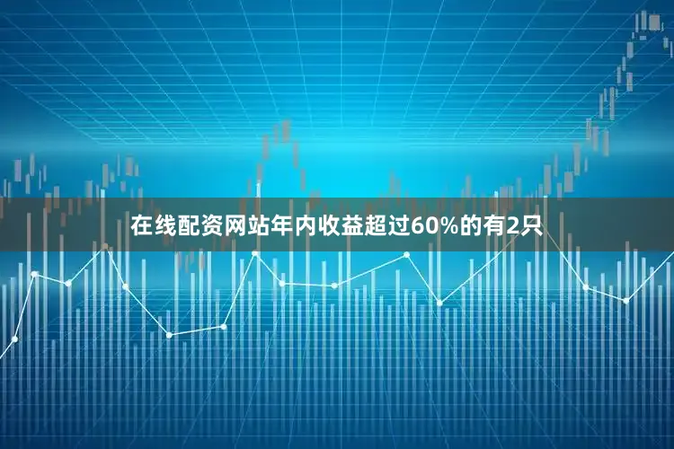 在线配资网站年内收益超过60%的有2只