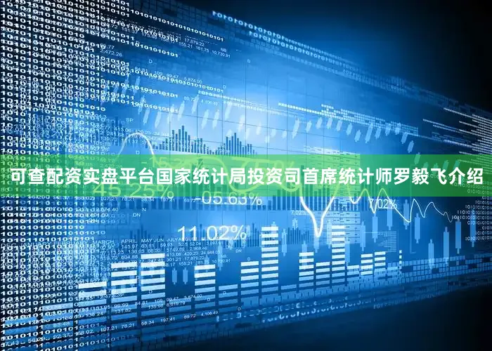 可查配资实盘平台国家统计局投资司首席统计师罗毅飞介绍